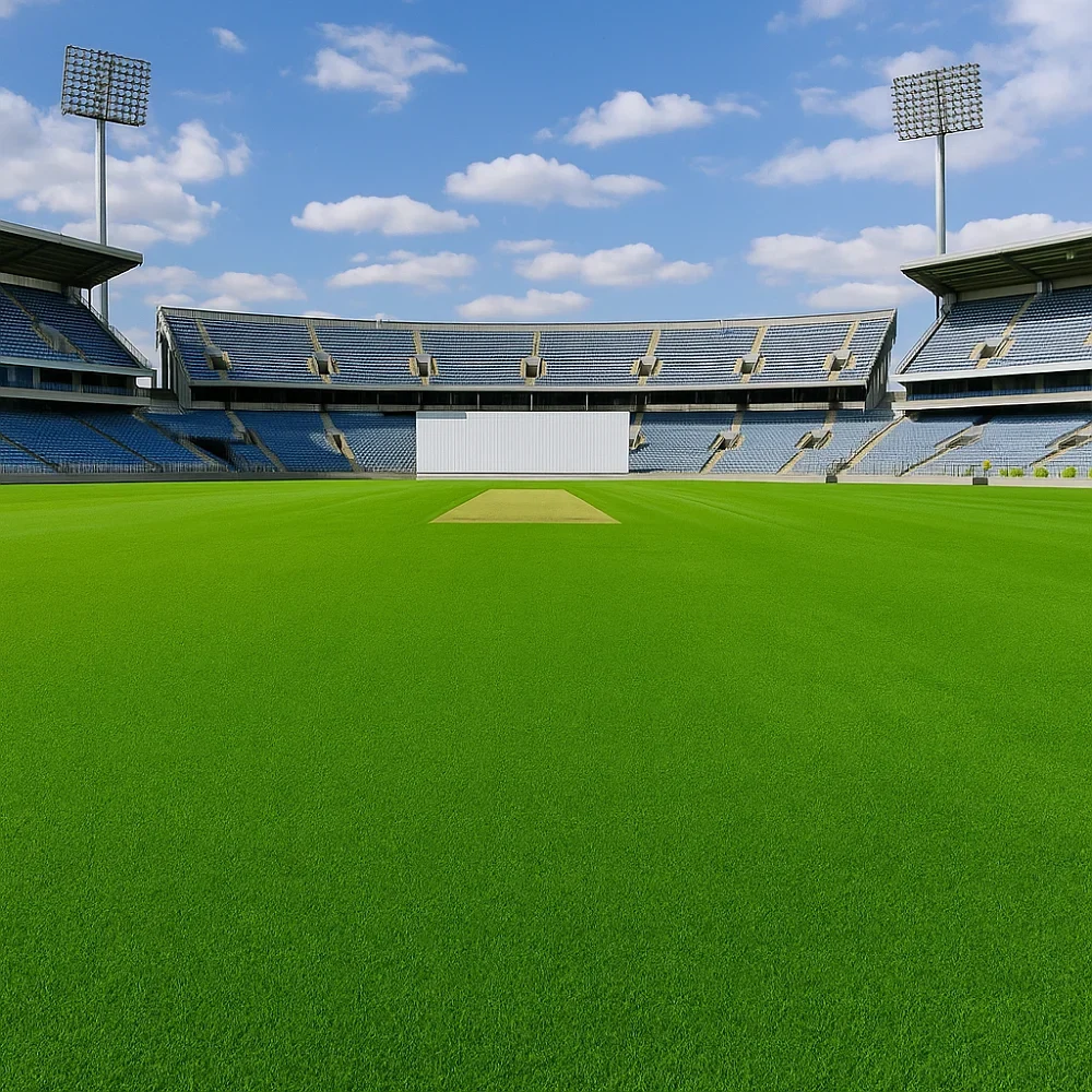 Artificial Grass [Commercial]