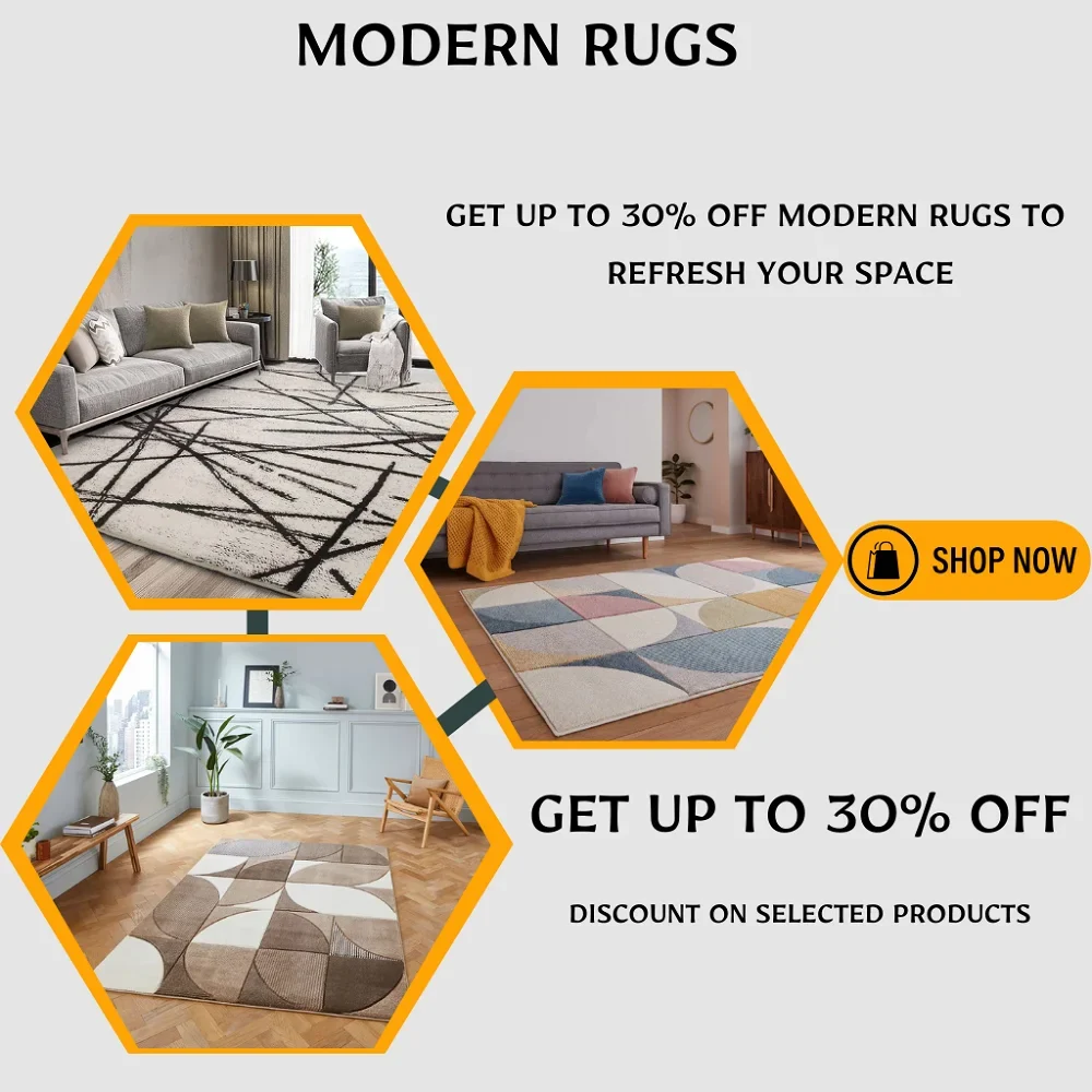Modern Rugs